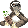 The Money Sloth