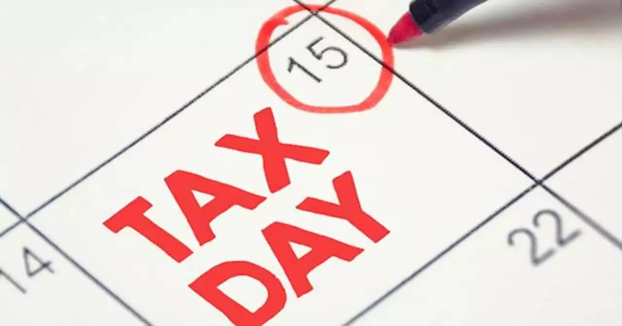 File 2019 Taxes